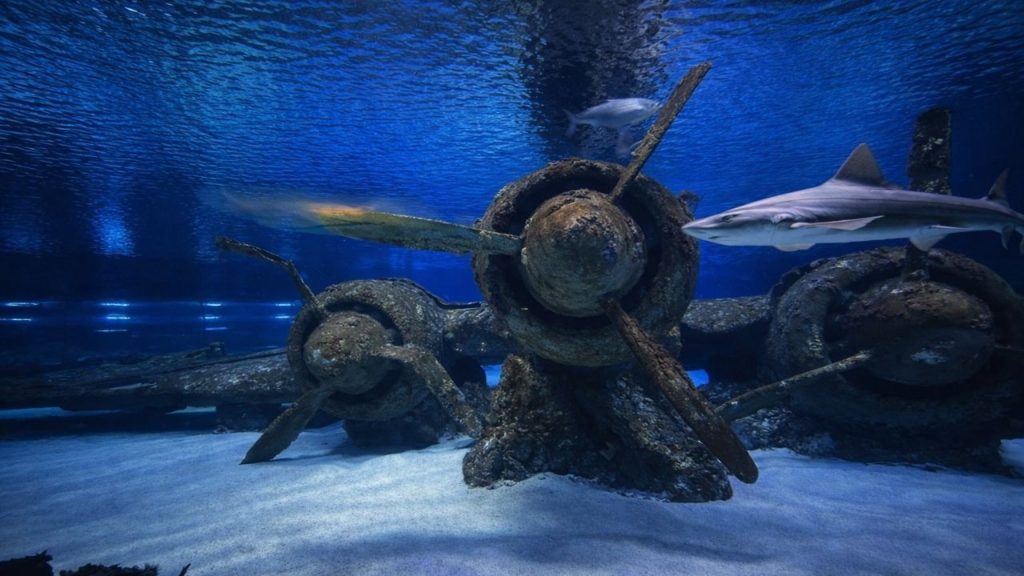 antalya aquarium from side shipwreck display with sunken plane and shark in deep blue water