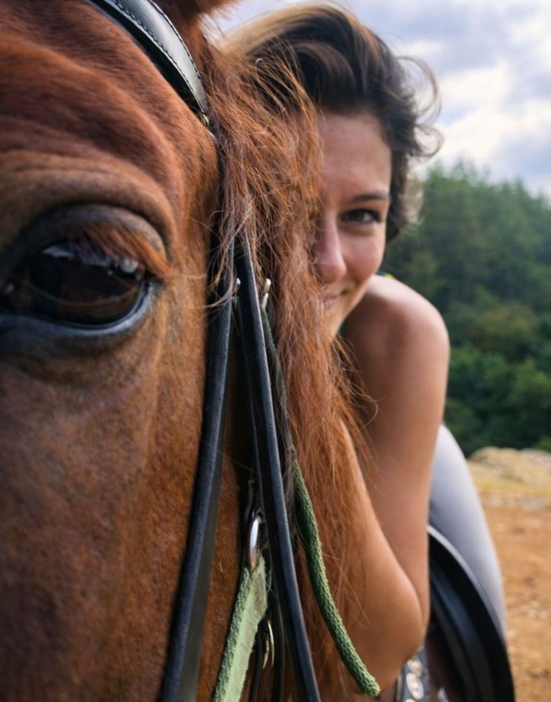 close up of brown arabian horse face with mane at side horse riding ranch