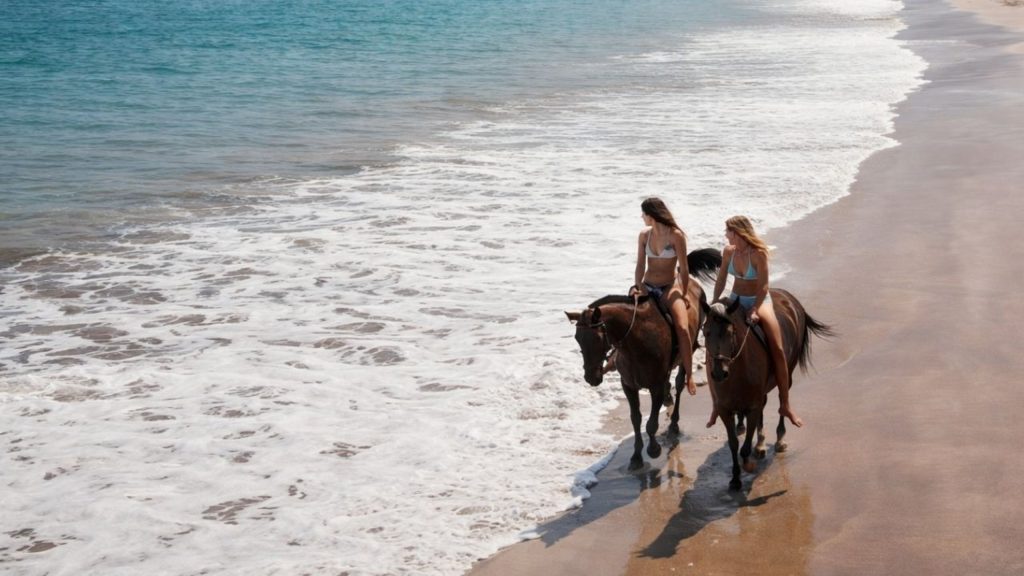 two horses along sandy beach with turquoise waves during side horse riding