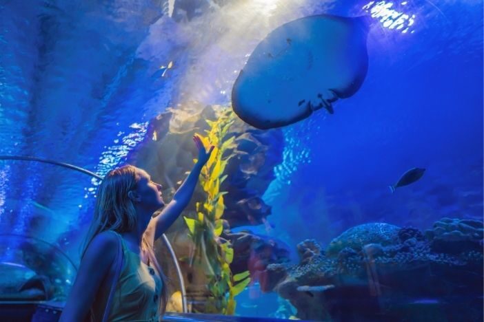 Antalya Aquarium Feature