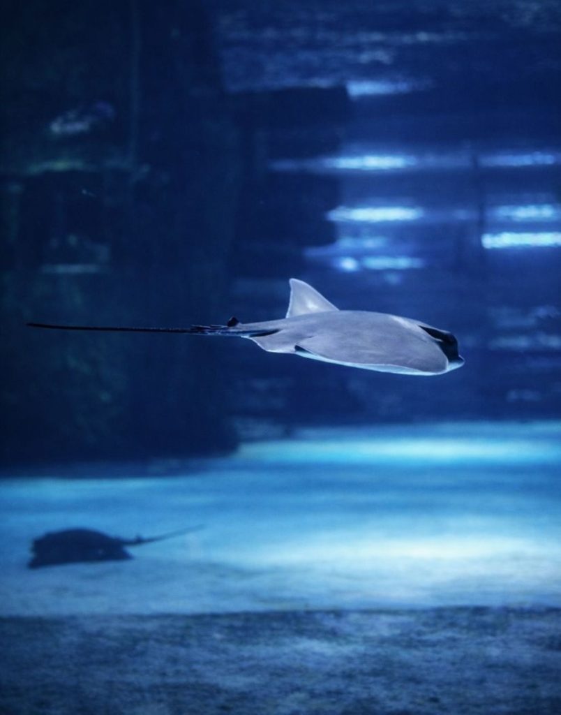 Antalya Aquarium From Belek