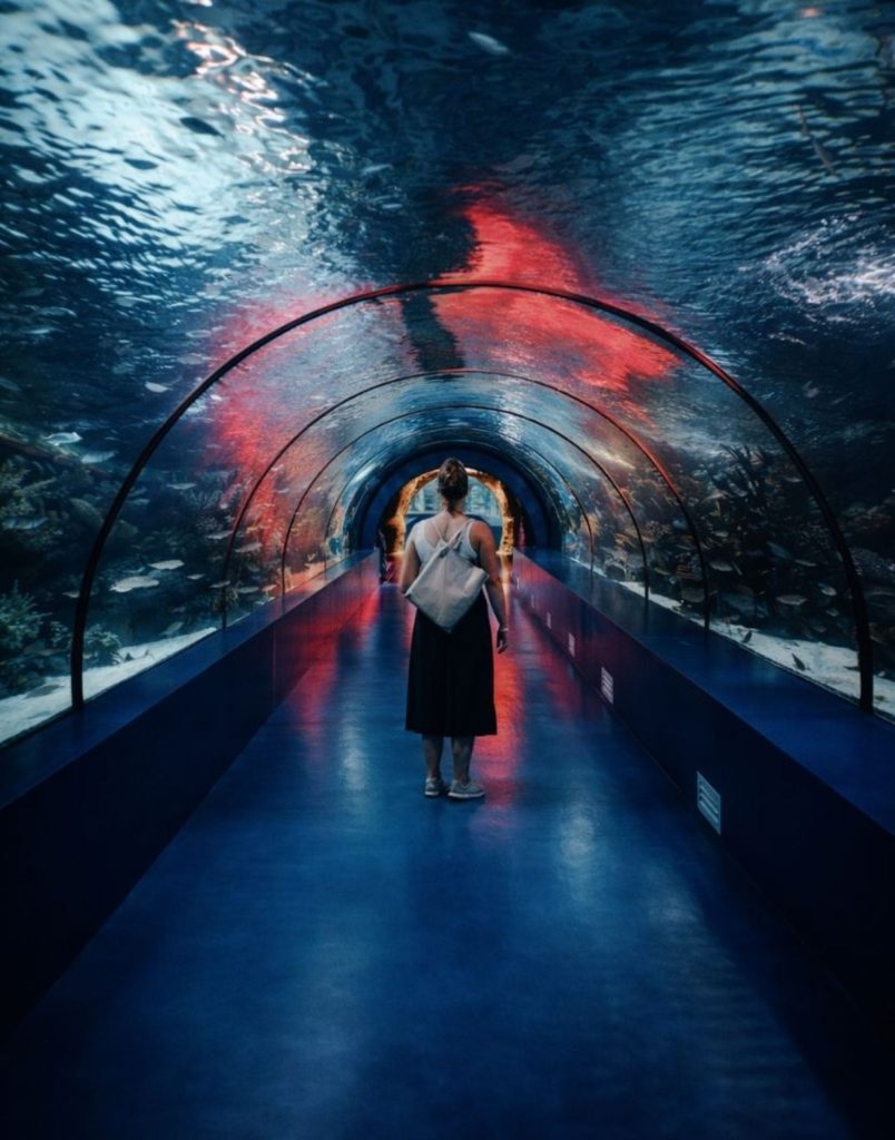 Antalya Aquarium From Belek