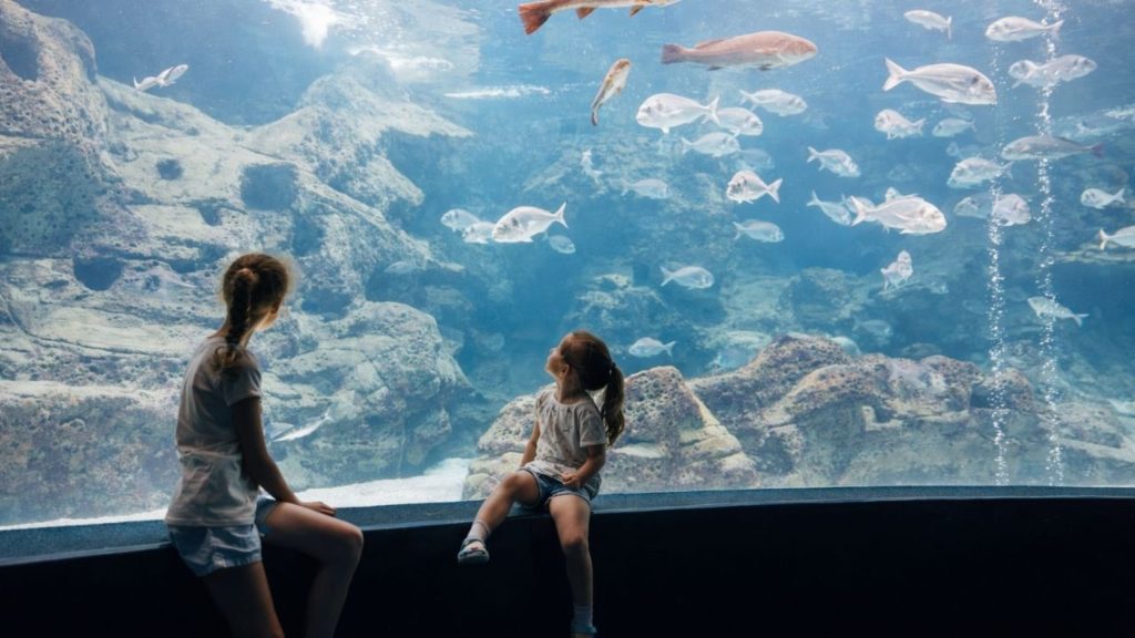 Antalya Aquarium From Belek