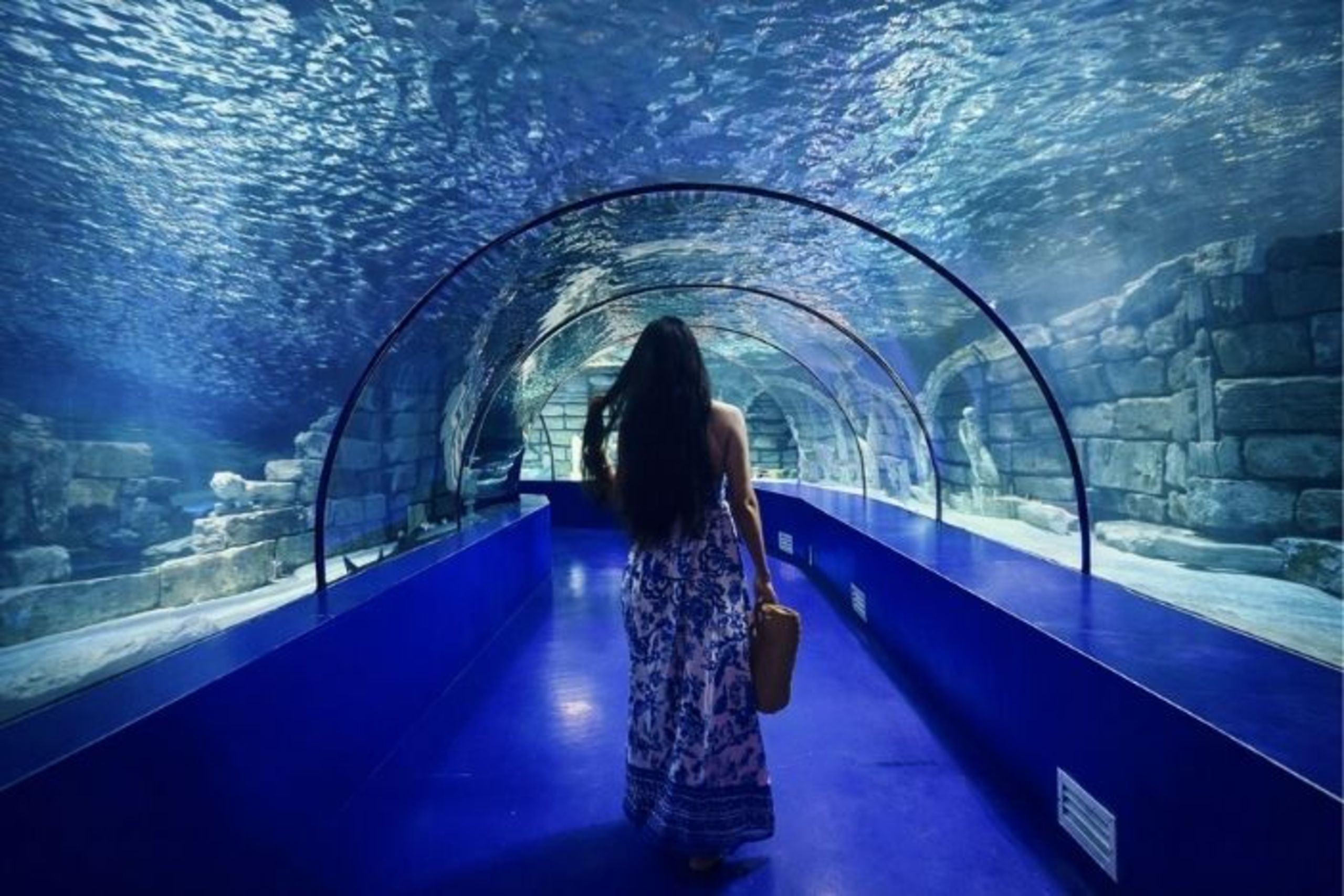 Antalya Aquarium Tour From Alanya Feature