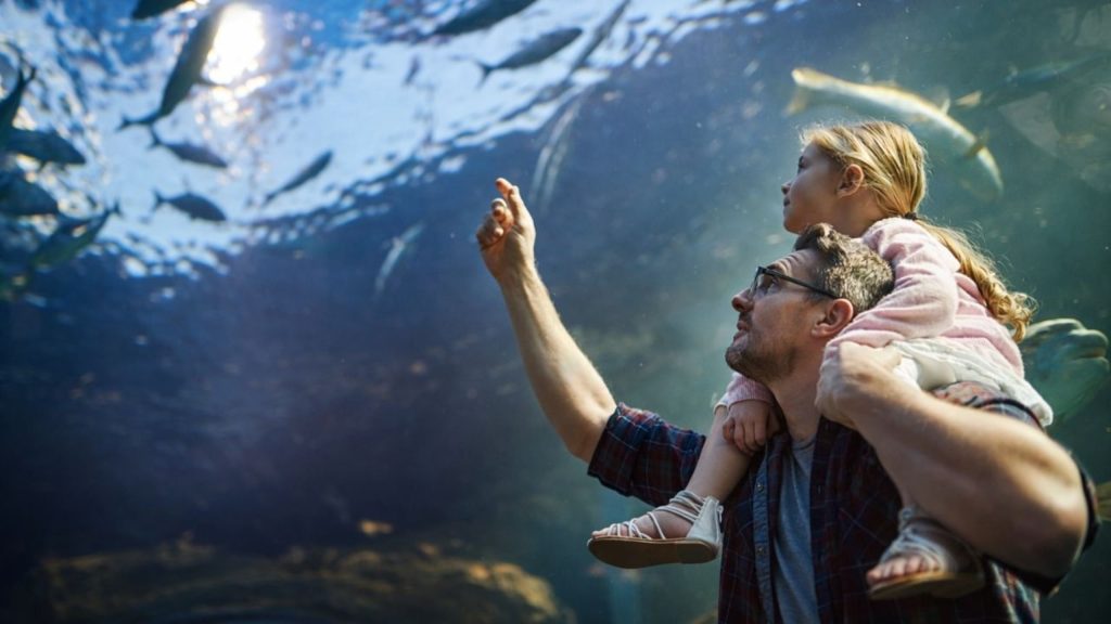 Antalya Aquarium Tour From Alanya