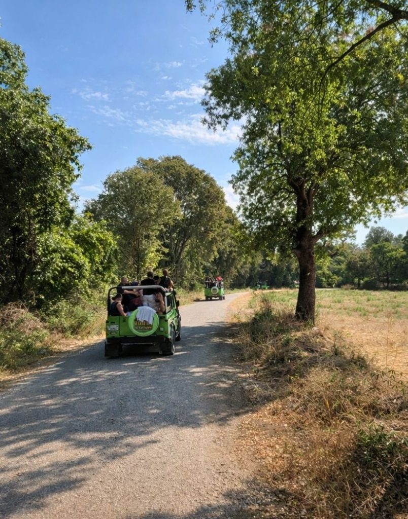 Belek jeep safari convoy on shaded village road with green trees countryside