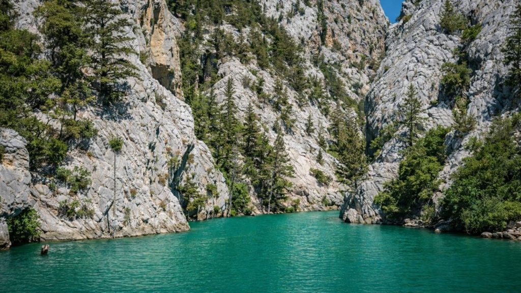 Emerald green water between rocky cliffs covered with pine trees at Green Canyon