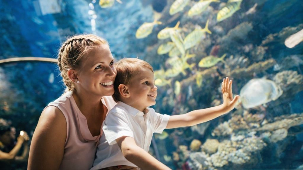antalya aquarium from side tropical fish tank with colorful fish and coral reef display