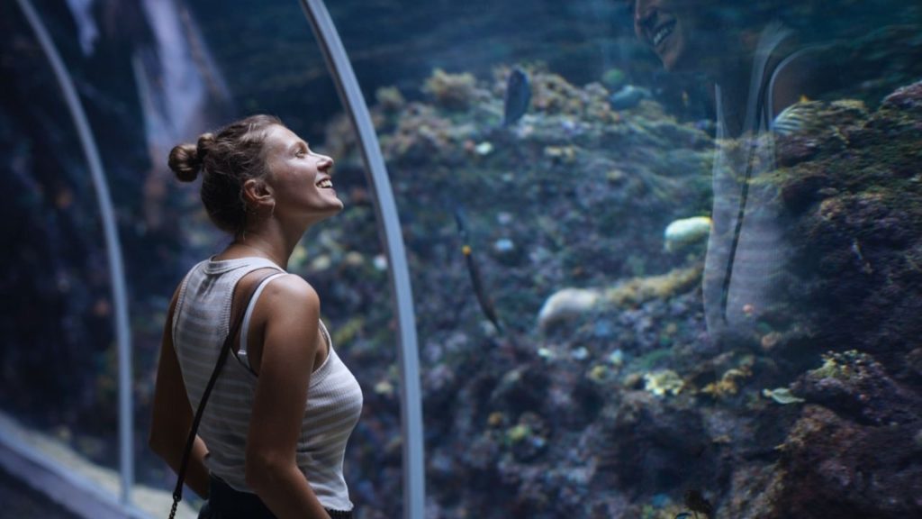 antalya aquarium from side curved glass tunnel with coral reef and fish on all sides