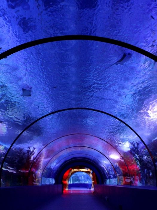 Antalya Aquarium Tour