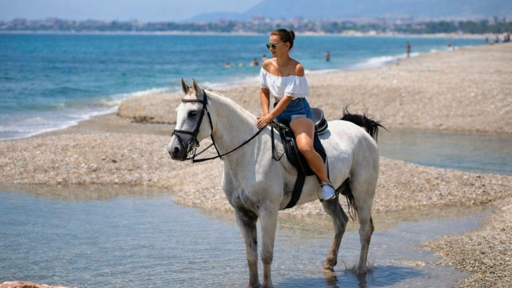 white horse at mediterranean beach shoreline during side horse riding tour