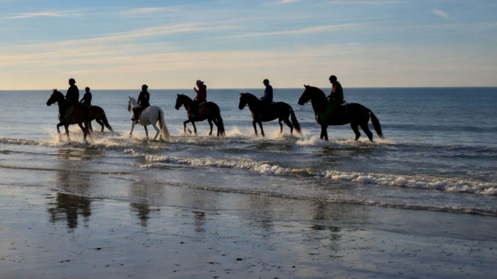 Group of horse riders silhouetted on beach at sunset in Alanya