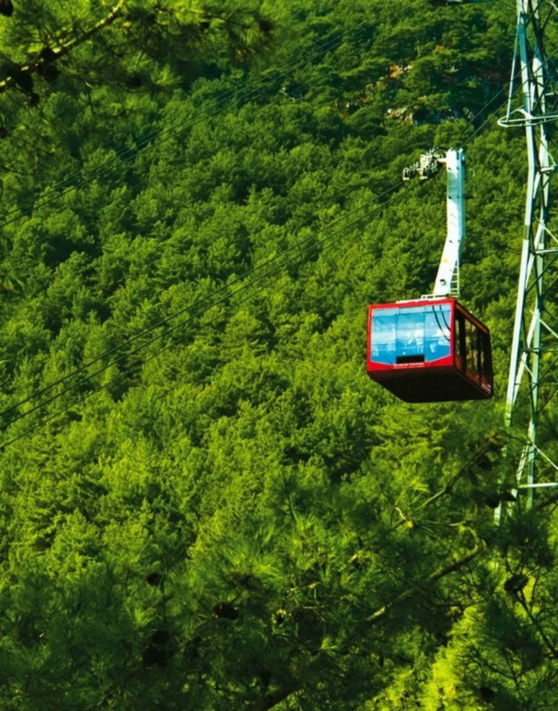 Olympos Cable Car over dense green pine forest on Tahtali Mountain in Antalya