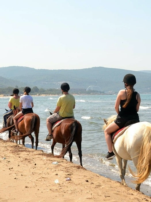 Horse Riding in Side