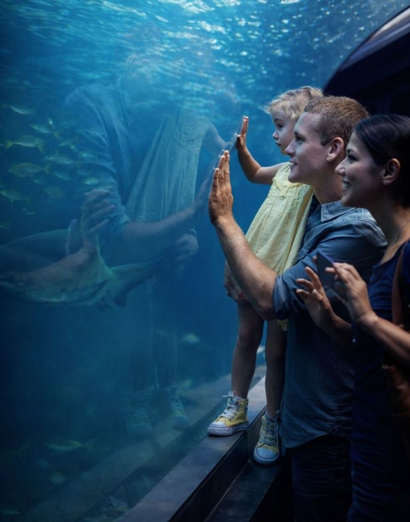 Antalya Aquarium From Belek