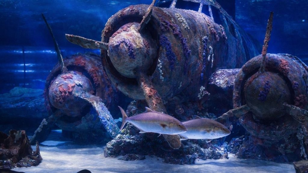 Antalya Aquarium From Belek