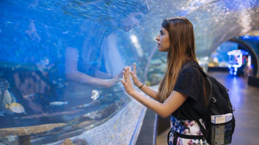 Antalya Aquarium From Belek