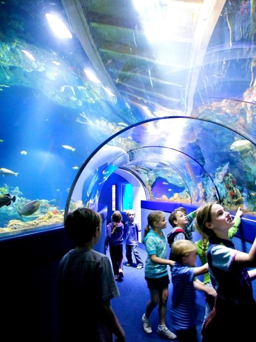 Antalya Aquarium From Side