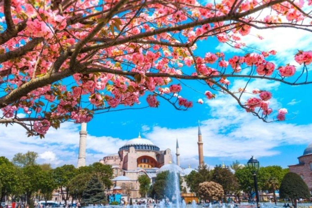 Alanya Istanbul Day Trip Feature