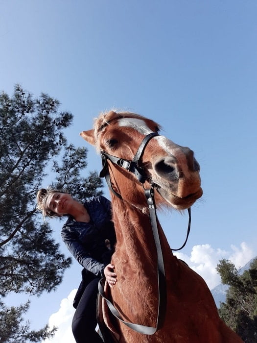Bodrum Horse Riding