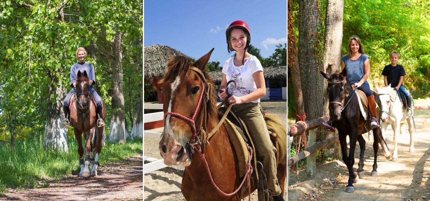 Istanbul Horse Riding Horseback Riding In Belgrade Forest