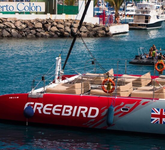 Freebird F15 Sunbeds