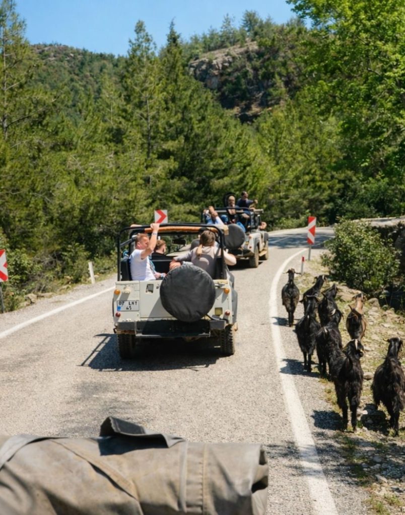 Antalya jeep safari convoy on mountain road through Taurus Mountains with local goat herd